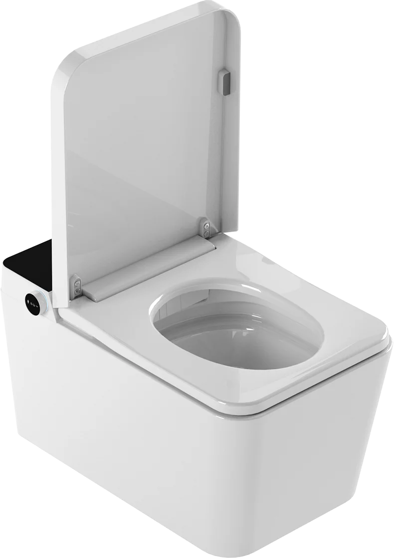 Mizubath Wall Hung Japanese Toilet with Smart Cleaning